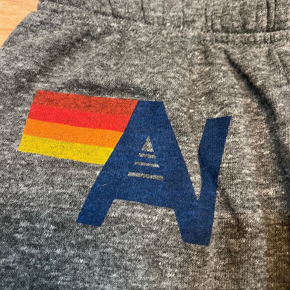 Aviator Nation Sweatpants Grey- small